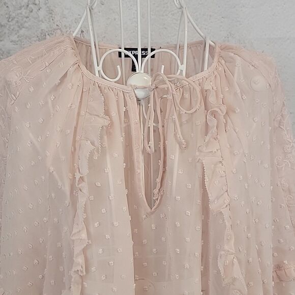 Express Sheer Peach Colored Blouse With Embroidered Details Womens Size Lg - Picture 2 of 11